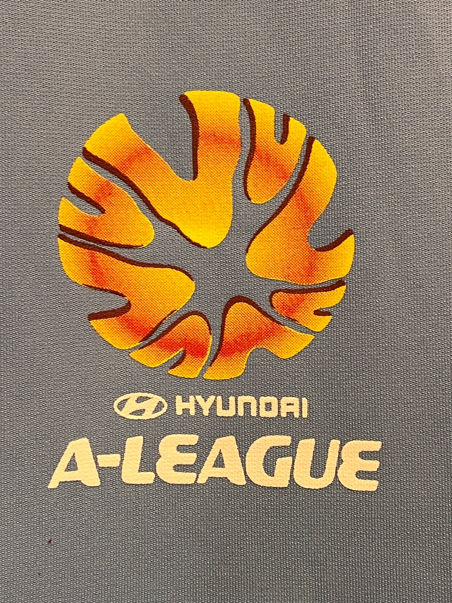 Sydney FC 2008-09 Home - XXL