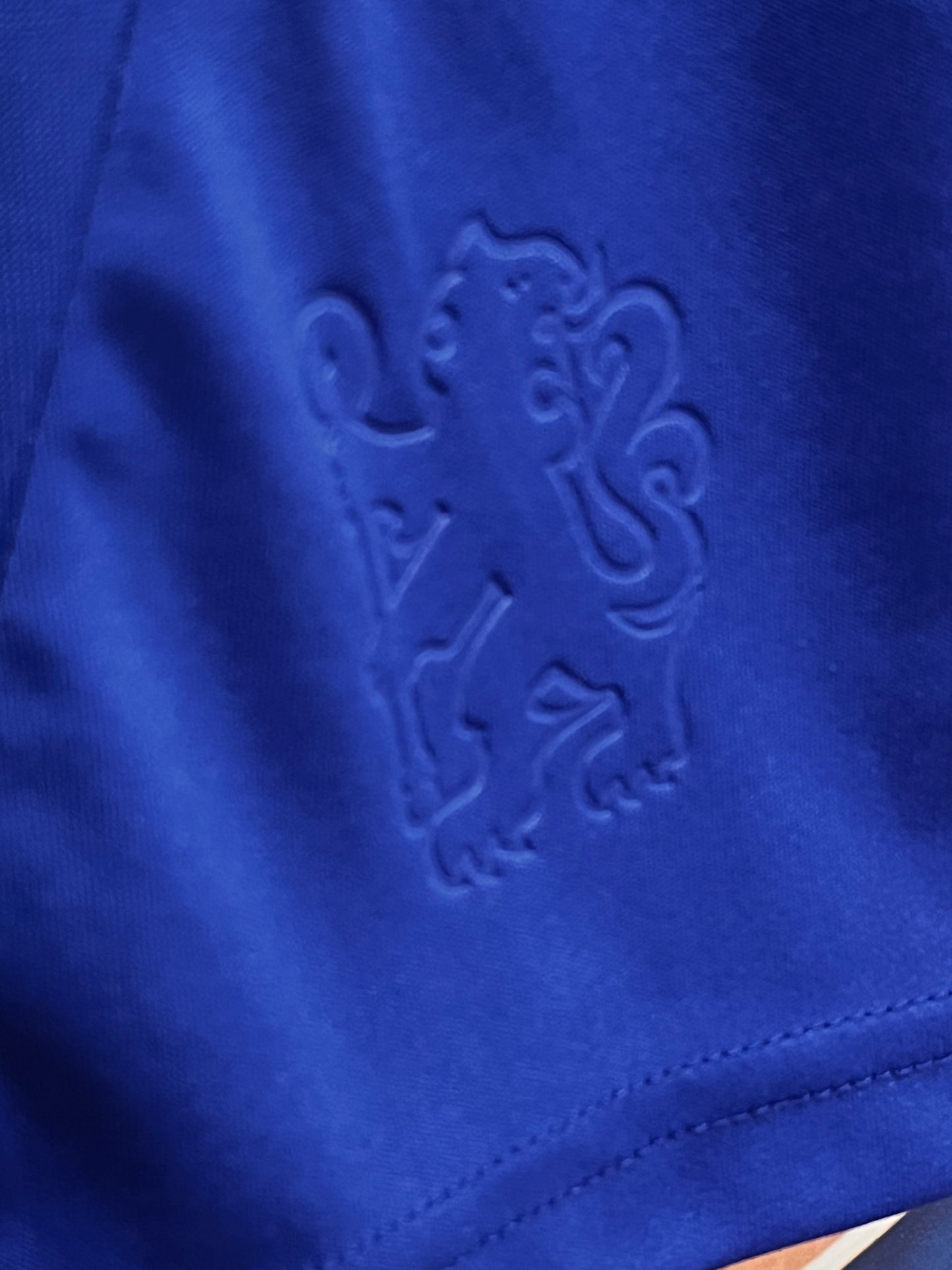Chelsea 2010-11 Home - M - P95900