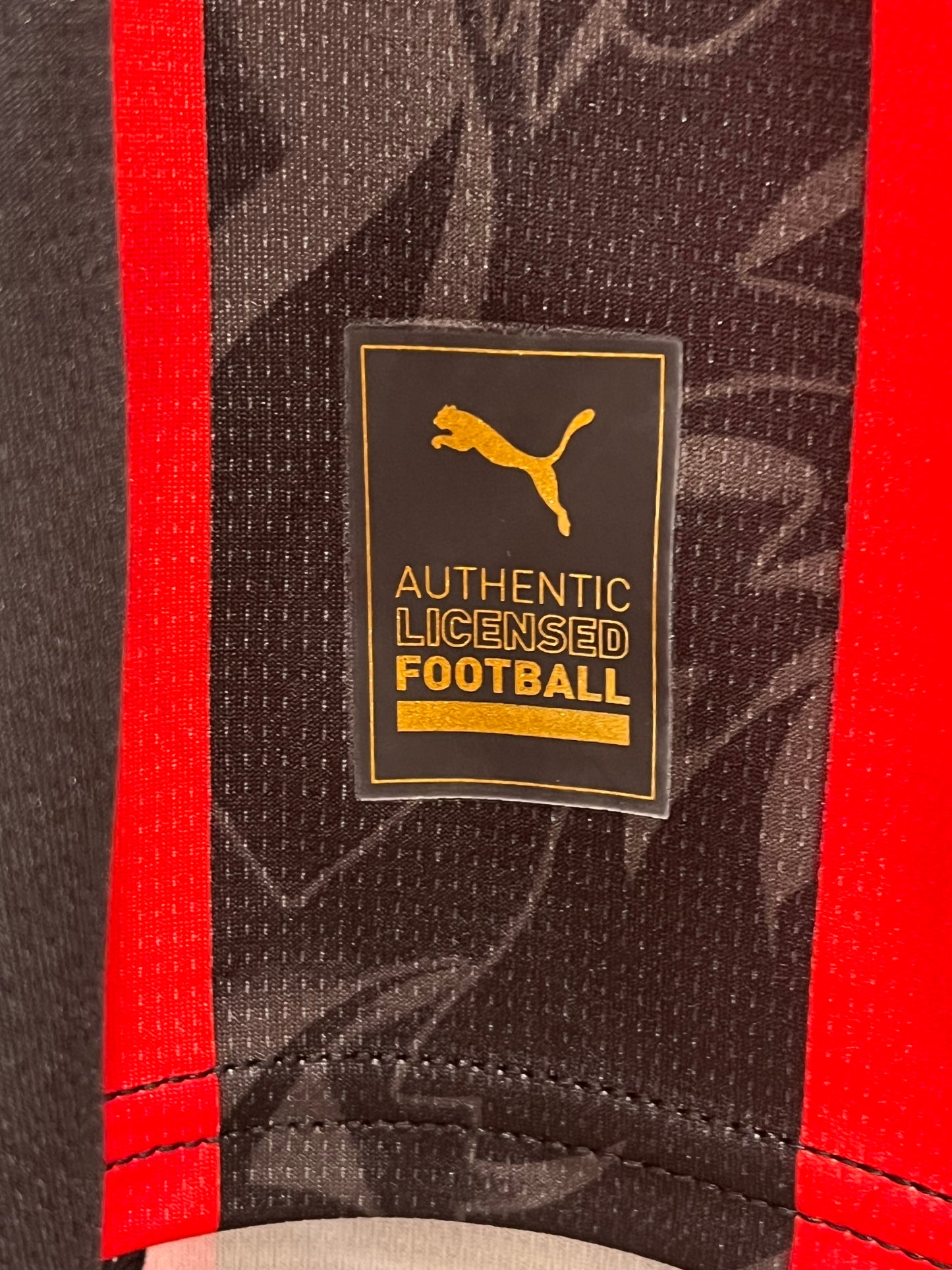 AC Milan 2025-26 Home Leao 10 - L - 779962-01