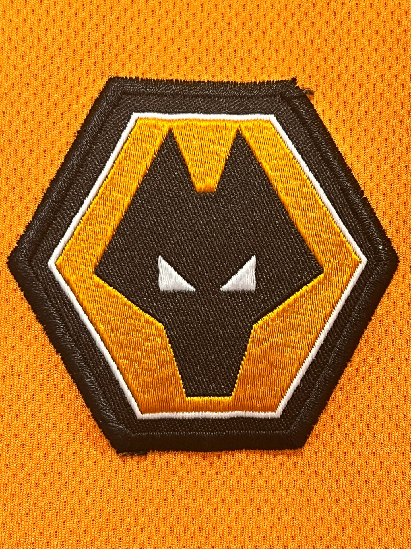 Wolverhampton Wanderers 2009-10 Home - L